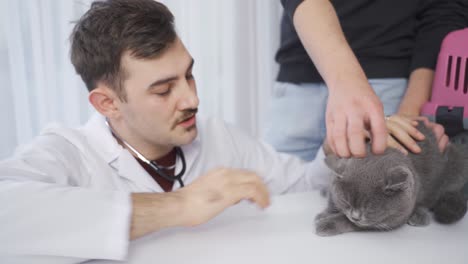 Veterinarian-man-examining-the-cat,-looking-at-its-mouth-and-ears.
